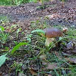 Przy Bulwarze Ostroda