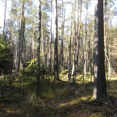 Przy Bulwarze شقة