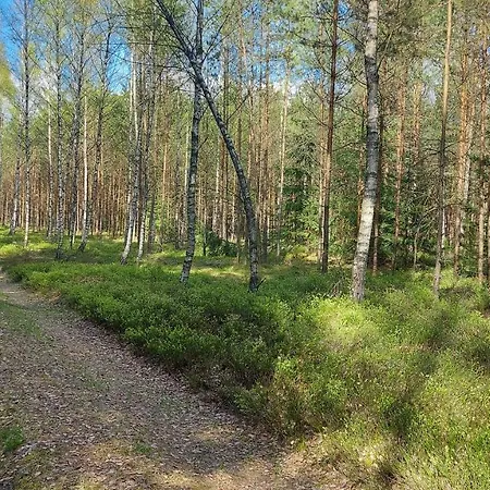 شقة Przy Bulwarze *