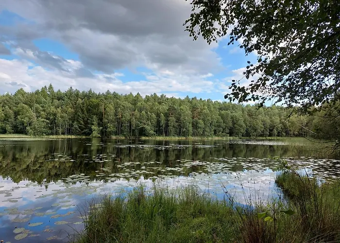 Przy Bulwarze Apartament *